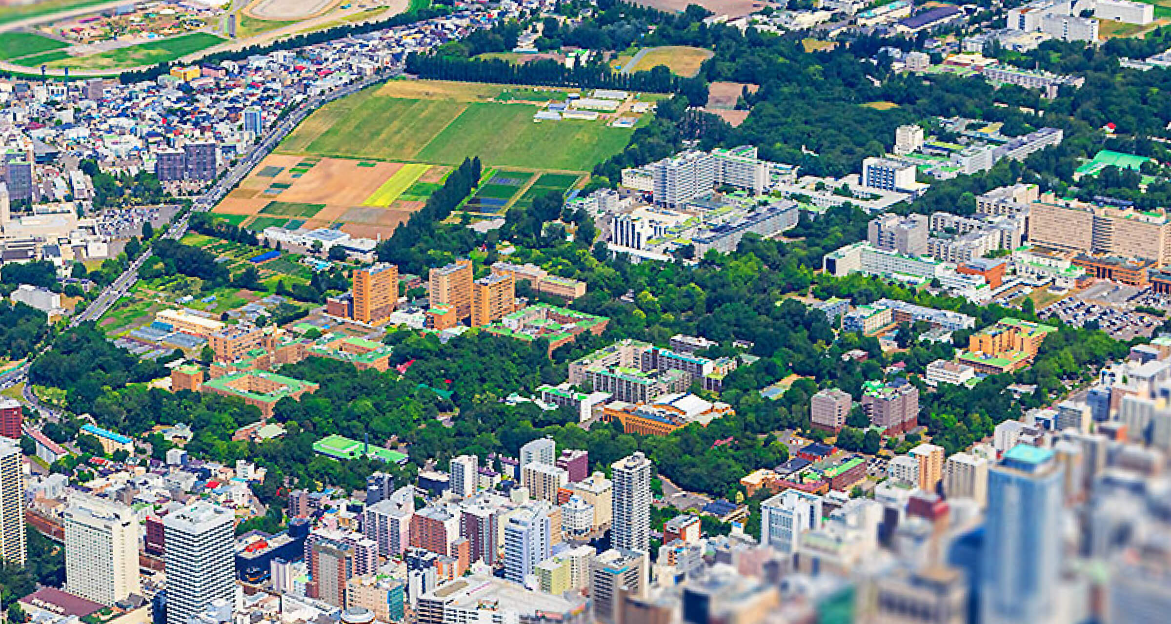 メインビジュアル 北大エリア空撮写真